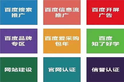 某SEM公司广告投放案例：创新广告形式的探索与实践
